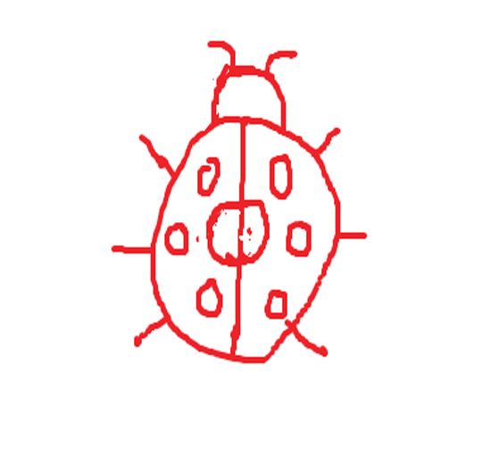 七星瓢虫简笔画